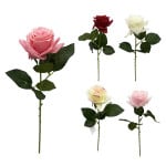 ROSA DECORATIVA SURTIDA: