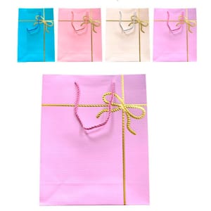 DZ. CAJA DE REGALO ESTAMPADA 40*30*12cm FD2145L