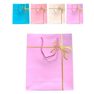 DZ. CAJA DE REGALO ESTAMPADA 23*18*10cm FD2145S