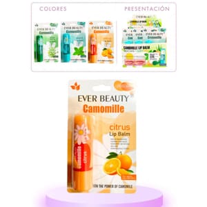 CAJA CHAPSTICK ENCARTONADO EVER BEAUTY*12PCS 7189E