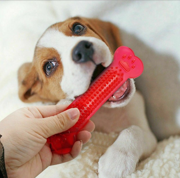 Juguetes para masticar hueso de goma para perro al por mayor