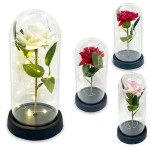 ROSA ENCAPSULADA CON LUZ