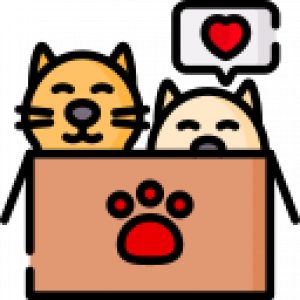 Animales y Mascotas