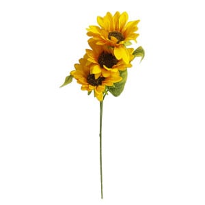 GIRASOL X3: