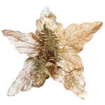FLOR NAVIDEÑA CHAMPAÑA