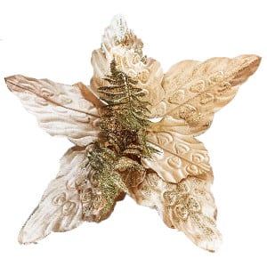 FLOR NAVIDEÑA CHAMPAÑA