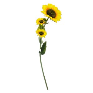 GIRASOL GD X3: