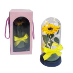 GIRASOL ENCAPSULADA CON LUZ