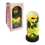 GIRASOL ENCAPSULADA CON LUZ