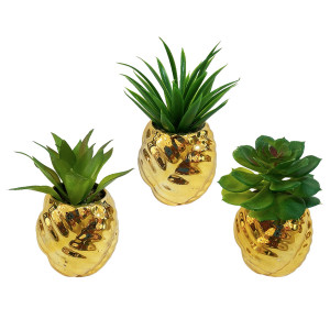 PLANTA DECORATIVA: