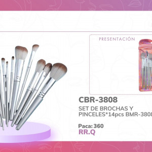 SET DE BROCHAS Y PINCELES*14pcs BMR-3808