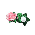 ROSA ETERNA ROSADA