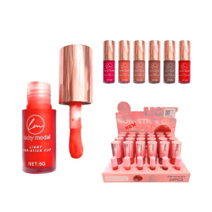 CAJA DE TINTA LUCKY MODEL CJ*24 ML8047