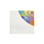 LIENZO PARA PINTAR 20*20CM