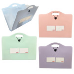 CARPETA COLOR PASTEL 13 COMPARTIMIENTOS (CJX12)