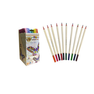 CAJA DE COLORES X 12 DK-4910