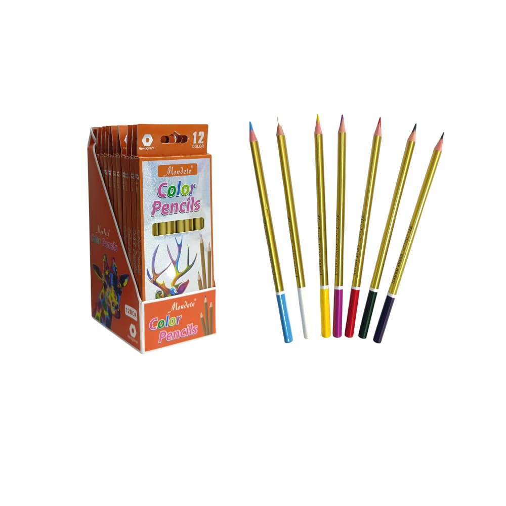 CAJA DE COLORES X12 DK-4913