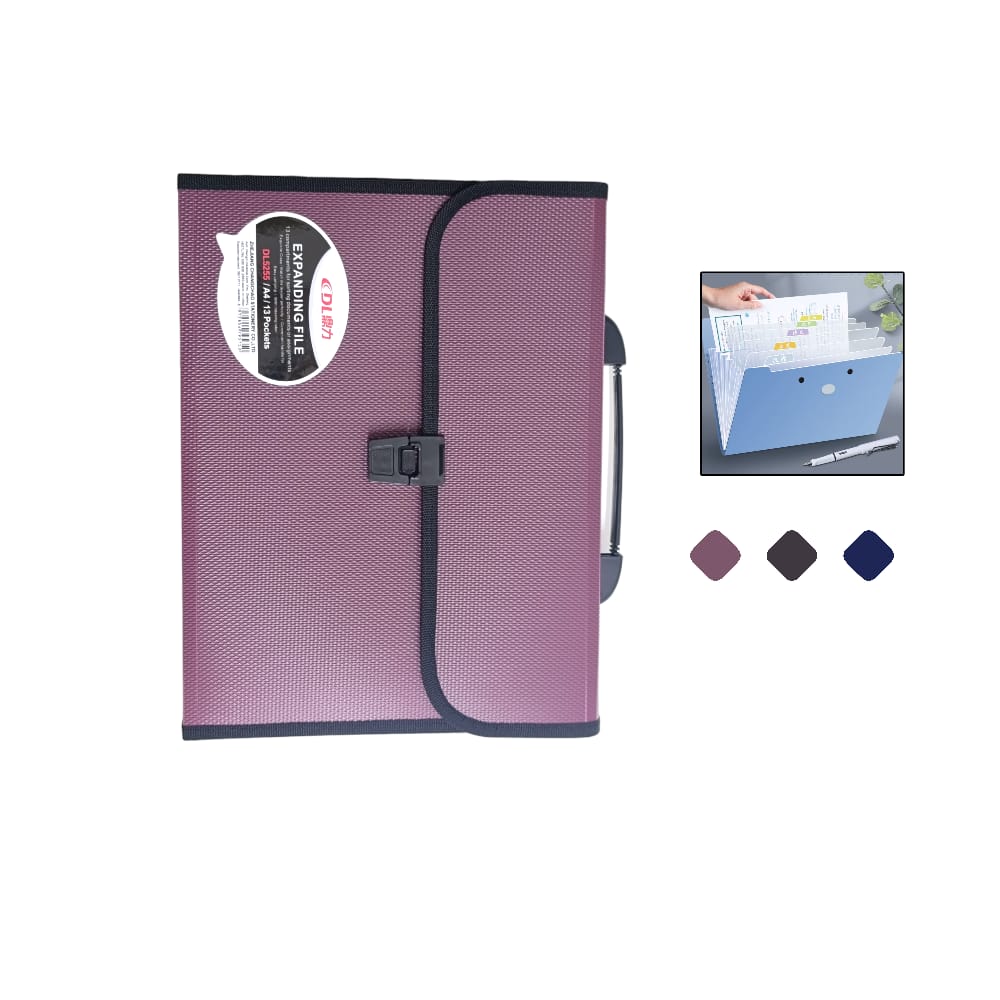 CARPETA ORGANIZADORA COLORES SURTIDOS DK-DL5255