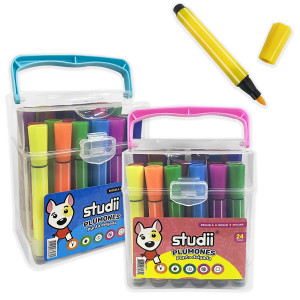 SET DE PLUMONES X24
