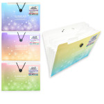 CARPETA 12 COMPARTIMENTOS