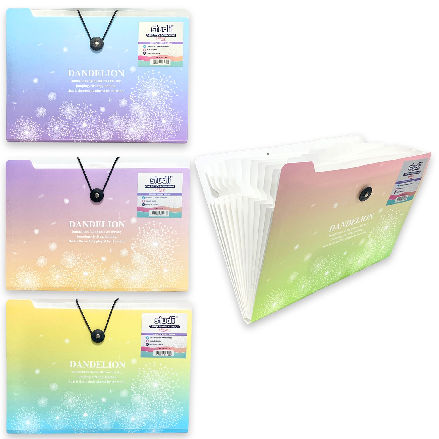 CARPETA ARCHIVADORA CARTA 5 COMPARTIMENTOS