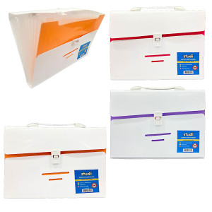 CARPETA 12 COMPARTIMENTOS A4