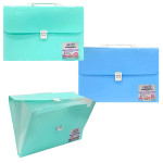 CARPETA 13 COMPARTIMENTOS (CJX15)