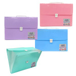 CARPETA 13 COMPARTIMENTOS (CJX15)