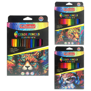 CAJA COLOR LARGO X18 (CJX12)