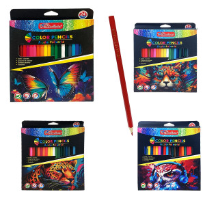 CAJA COLOR LARGO X24 (PQTX12)