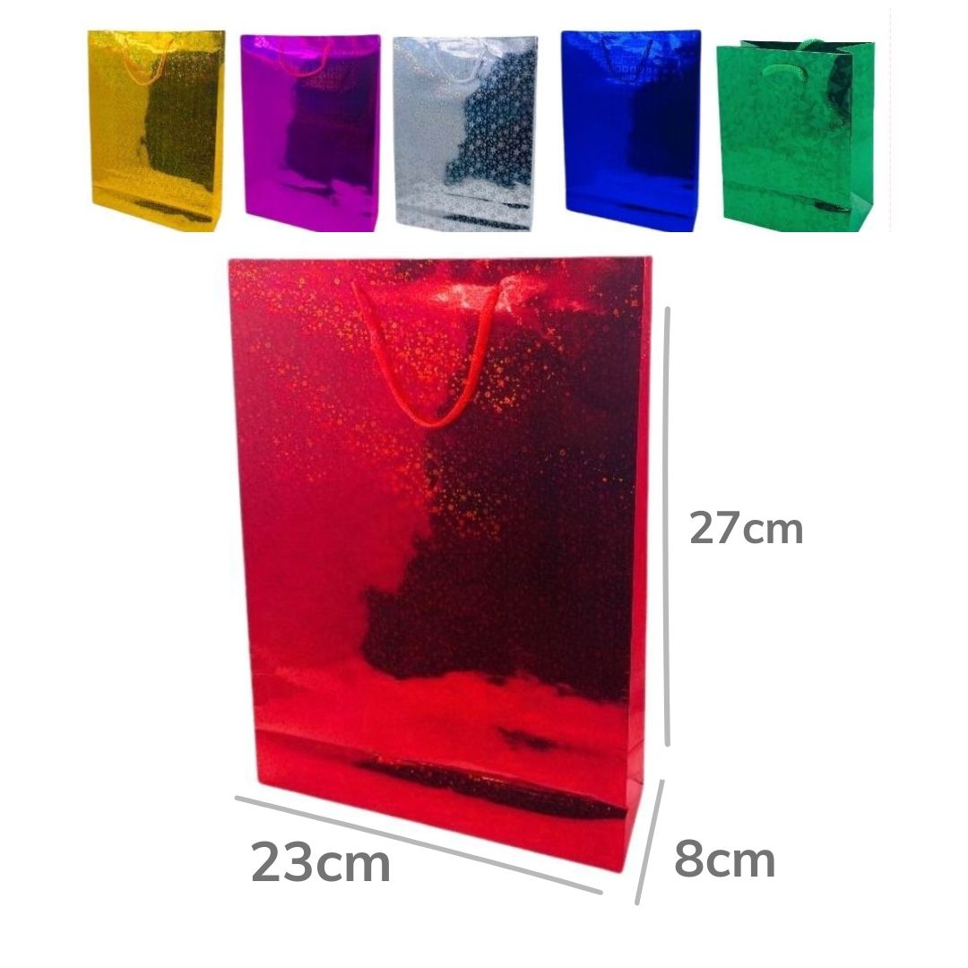 DZ. BOLSA REGALO HOLOGRAMA L 27X23X8CM BMR-382