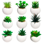 PLANTA ARTIFICIAL EN MATERA (CJX12)