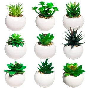 PLANTA ARTIFICIAL EN MATERA (CJX12)