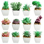 PLANTA ARTIFICIAL EN MATERA (CJX12)