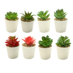 PLANTA ARTIFICIAL EN MATERA (CJX12)