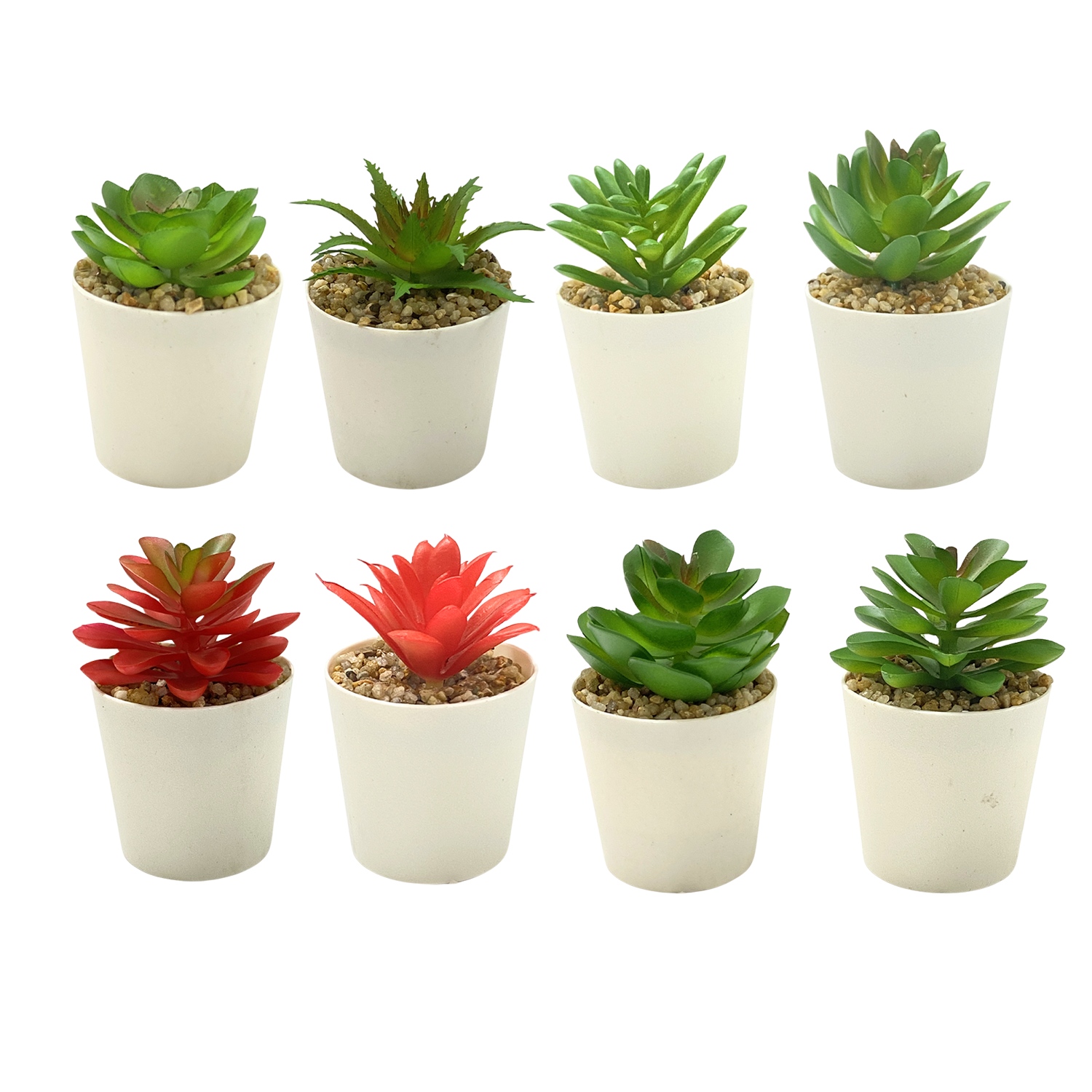 PLANTA ARTIFICIAL EN MATERA (CJX12)