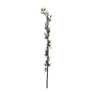 RAMA BAMBU DECORATIVA