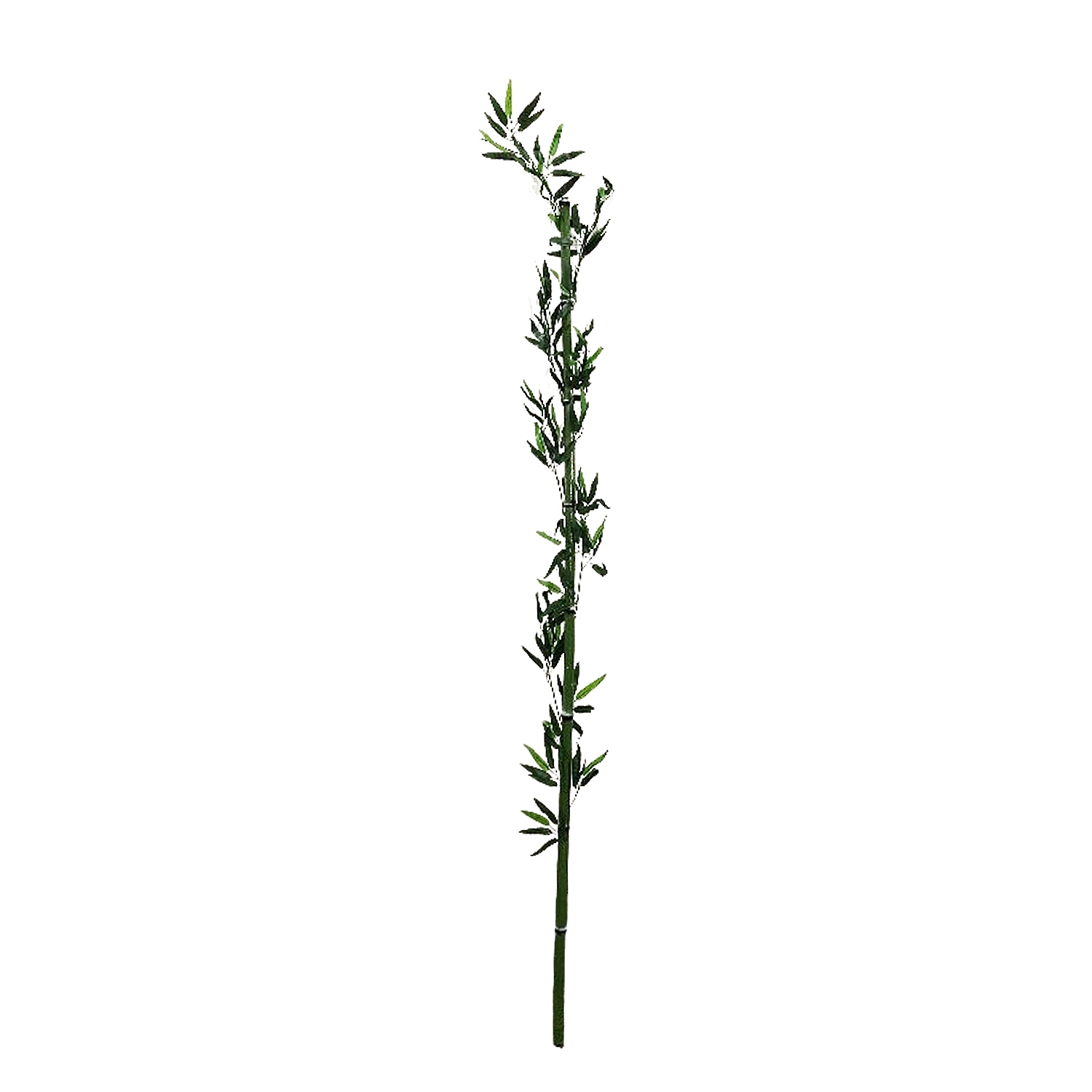 RAMA BAMBU DECORATIVA