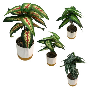 PLANTA ARTIFICIAL EN MATERA