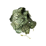 PLANTA ARTIFICIAL EN MATERA (CJX12)