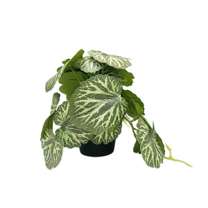 PLANTA ARTIFICIAL EN MATERA (CJX12)