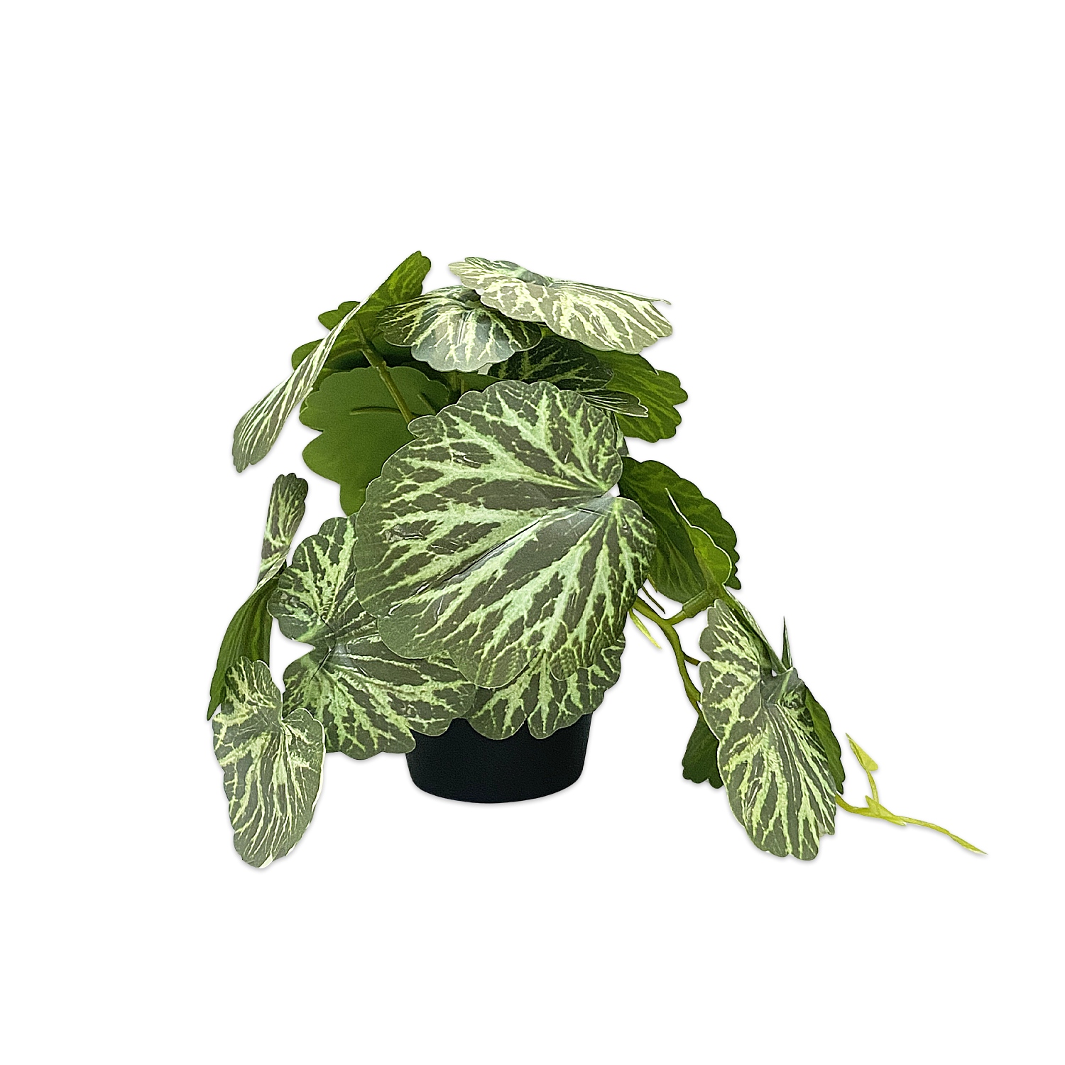 PLANTA ARTIFICIAL EN MATERA (CJX12)