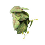 PLANTA ARTIFICIAL EN MATERA (CJX12)