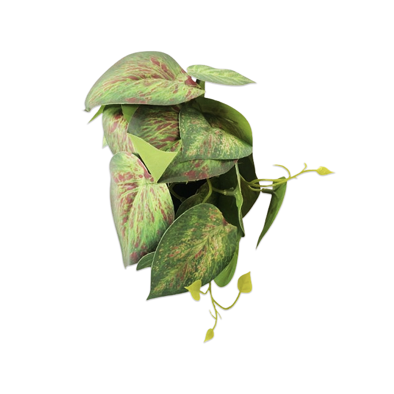 PLANTA ARTIFICIAL EN MATERA (CJX12)