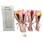 RAMO TULIPANES FELIZ DIA EN BOLSA DESARMADA (CJX10)