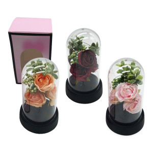 ROSAS ENCAPSULADA CON LUZ