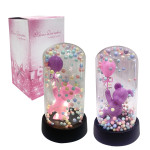 OSO CON LUZ ENCAPSULADO