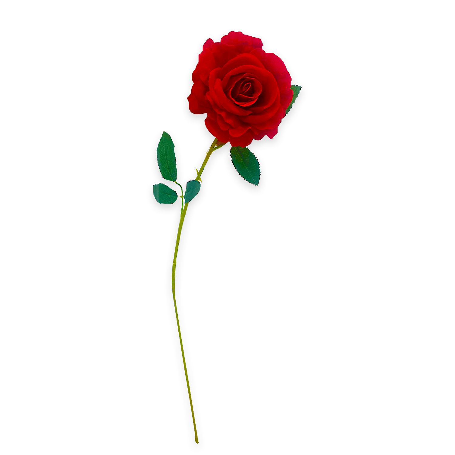 ROSA DECORATIVA ROJA: