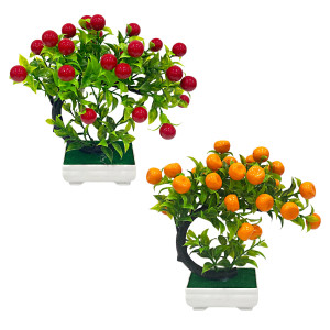 CEREZO ARTIFICIAL EN MATERA (CJX24)