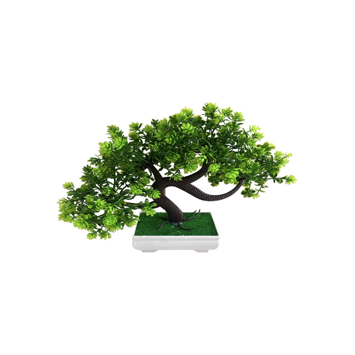 PLANTA ARTIFICIAL EN MATERA (CJX24)